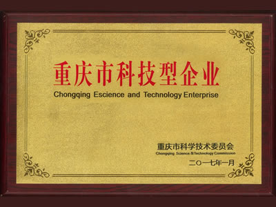 市科技型企业证书