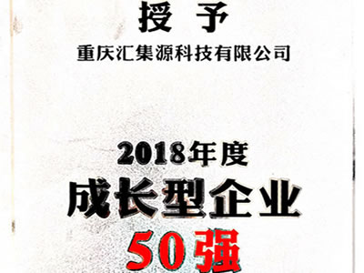 2018年成长型企业50强